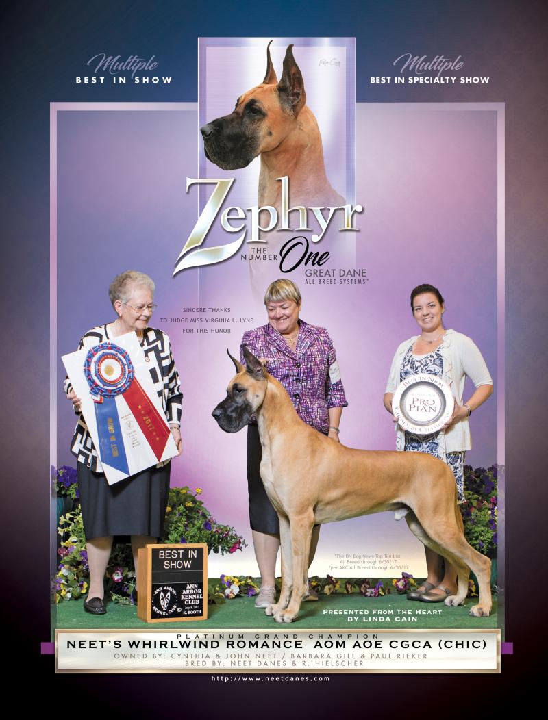 Multiple Best in Show Zephyr