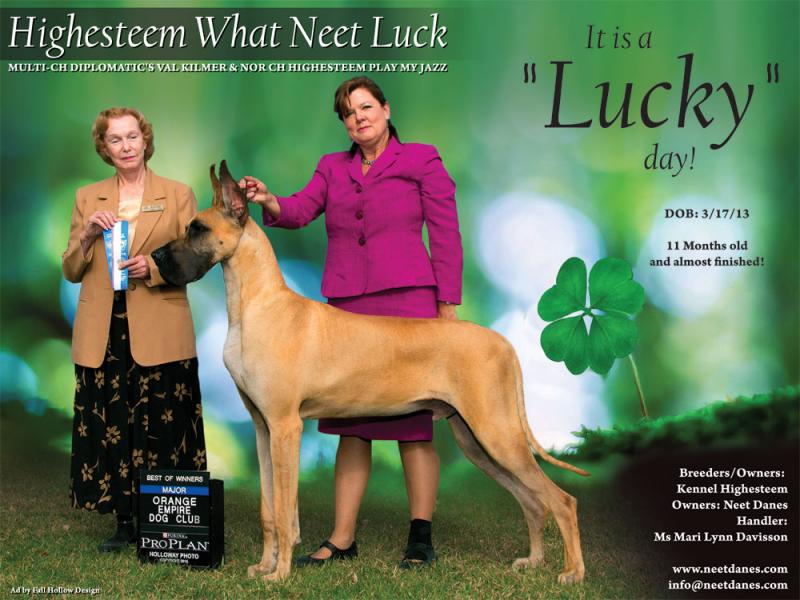 Lucky Ad